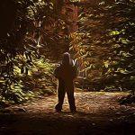 69819a157acbf1893741a9ec